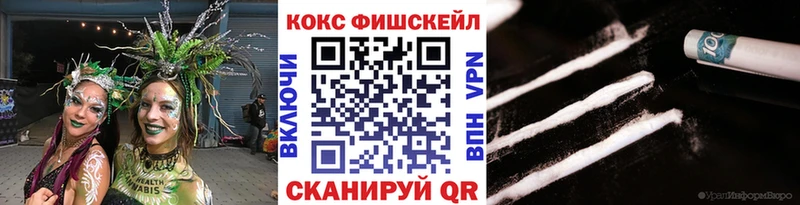 закладки  Петров Вал  Кокаин FishScale 