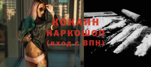 дживик Абинск