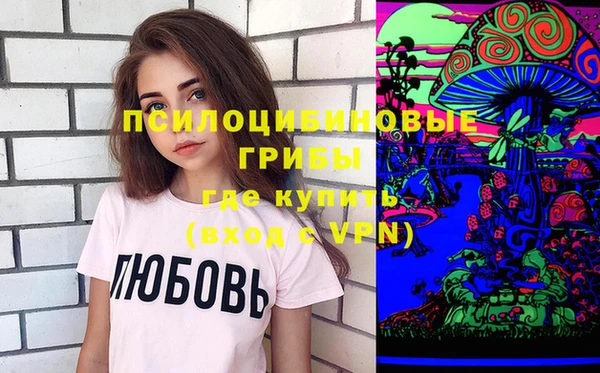 дживик Абинск