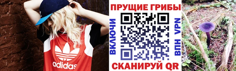 Псилоцибиновые грибы MAGIC MUSHROOMS Петров Вал