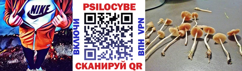 Псилоцибиновые грибы мухоморы Петров Вал